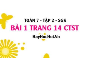 Bài 1 trang 14 Toán 7 Tập 2 Chân trời sáng tạo
